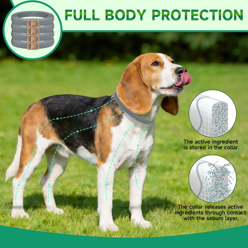 4 Pack Flea Collar for Dogs, 32 Months Flea and Tick Prevention for Dogs, Dog Flea and Tick Treatment, Adjustable Dog Flea Collars, Waterproof Dog Flea Treatment Collar, Flea Treatment for Dogs, Grey