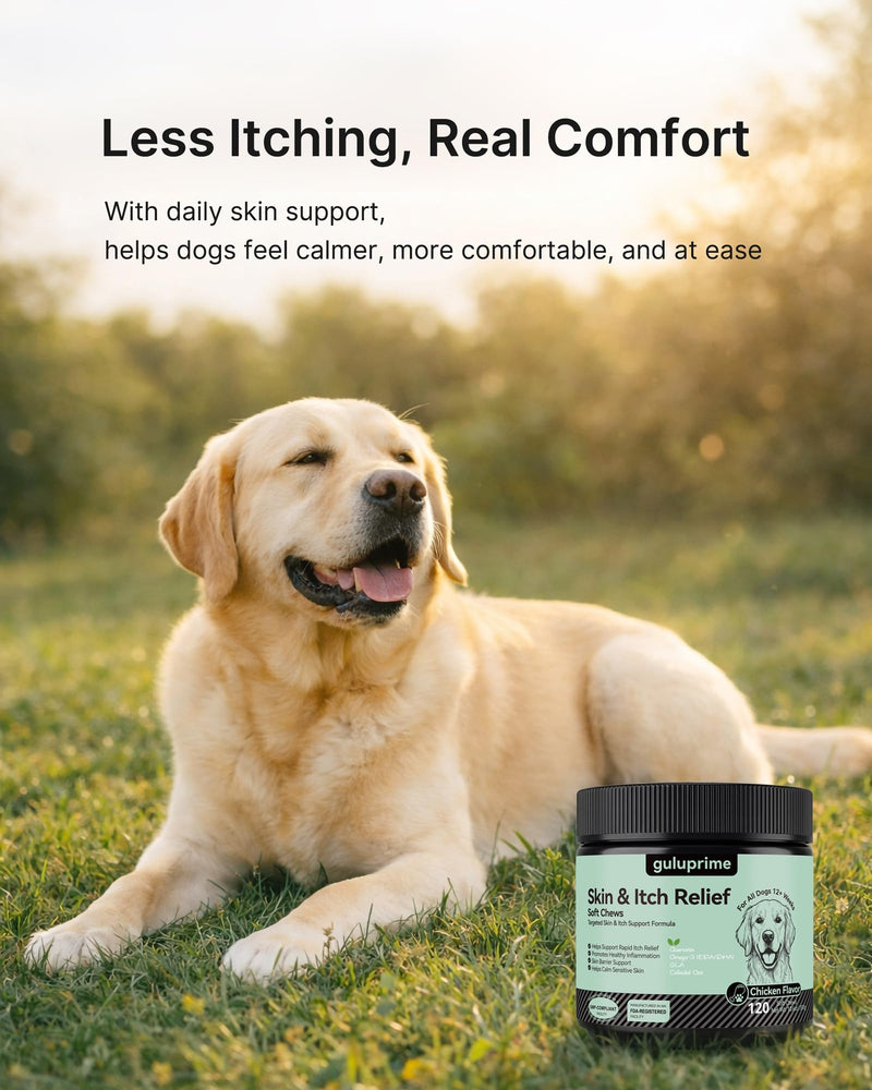 Dog Itch Relief Chews for Dogs – Itchy Paws & Paw Licking Support, Anti Itch Soft Chews for Itchy Skin, Daily Skin & Coat Supplement, 120 Chews Chicken