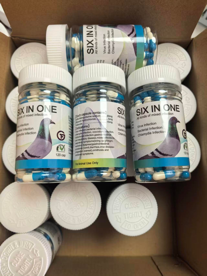 6 in 1 Medicine for Pigeons, Canary, Finches, Parakeet, Cockatiels, Parrots, Cage Small Birds, & Aviary Birds 120 Capsules