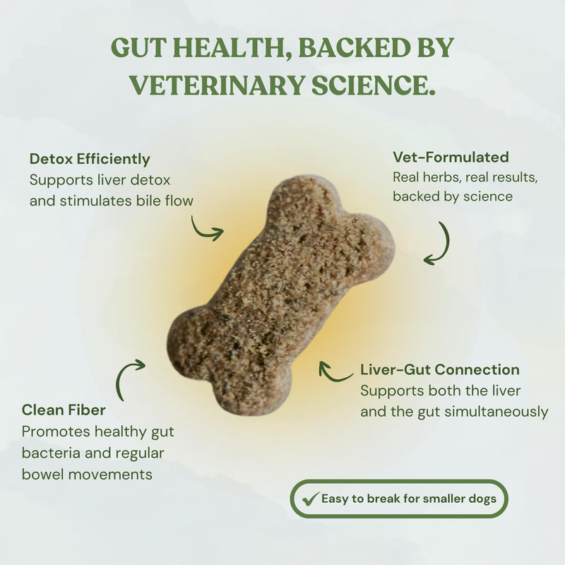 Inner Glow Digestive Dog Treats - Gut Health Support with Prebiotics, Dandelion & Chaga - Vet Formulated for Diarrhea Relief & Immune Support - Organic, Vegan, 2-Pack Inner Glow 4 Ounce (Pack of 2)
