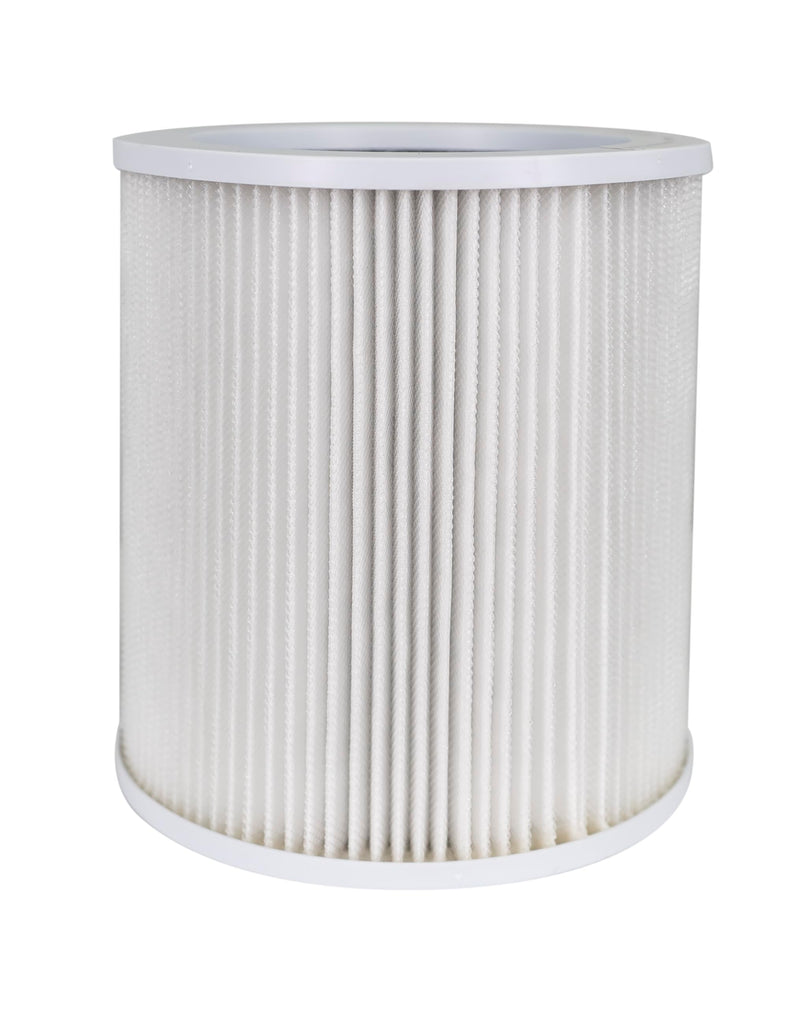 Hunter H-HF450-VP Filter Value Pack with EcoSilver Pre-Filter for HP450UV