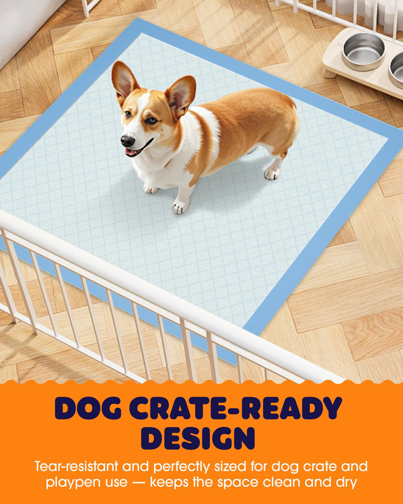 Puppy Pads - Super Absorbent & Spill-Proof Pee Pads for Dogs with 6-Layer Material, Quick-Dry & Hassle-Free Potty Pads for Floors, Furniture, Vehicle, 22" × 22", 100 Packs 22" × 22" - 100 Packs
