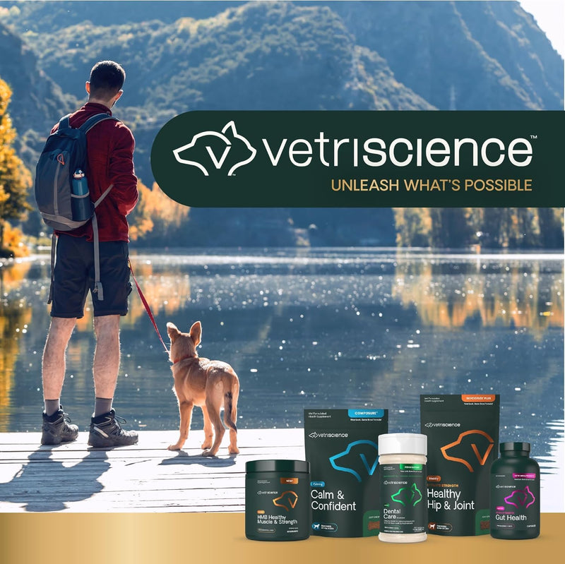 VetriScience Pinchers Pill Hiders Chews, Non-Greasy with Probiotics for Dogs, Disguise Small Capsules and Tablets, Soft and Chewy, Gut and Immune Support, Peanut Butter, 45 Count 45 Hiders