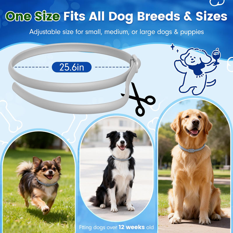 KOOSA Flea and Tick Collar for Dogs, 3 Packs Flea Collar for Dogs with Natural Essential Oils, Waterproof & Adjustable Flea and Tick Prevention Collar for Small Medium Large Dogs & Puppies, Grey 07