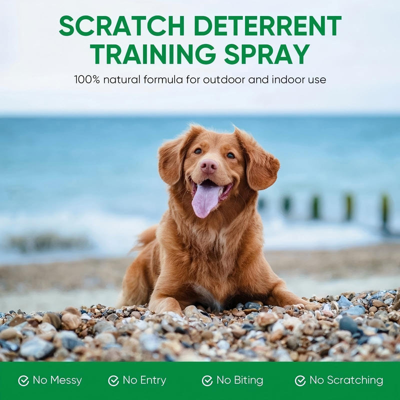 2 Pack Bitter Apple Spray for Dogs, No Chew Spray for Dogs, Natural Training Aid for Dogs & Puppies, Stop from Chewing and Biting on Furniture, Shoes, Plants, Indoor & Outdoor Use