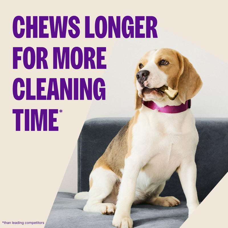 Whimzees Wellness Brushzees Dog Dental Treat, VOHC Accepted Chews, Freshens Breath, Small Size, 4.2 oz Bag, 8 Count (Pack of 2) Dental Small 8 Count (Pack of 2)