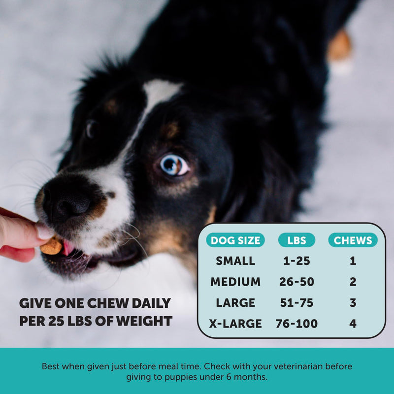 Pet Honesty Hemp Calming & Multivitamin Virtual Bundle: Max Strength Dog Anxiety Relief & Essential Vitamins for Skin and Coat (Duck & Chicken 90 ct)