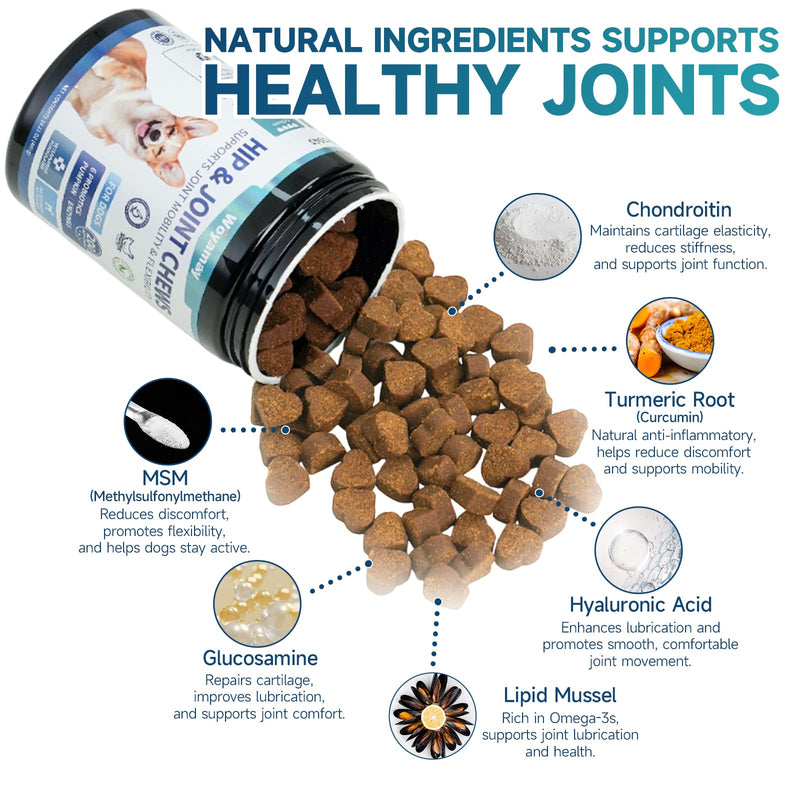 Dog Joint Supplement, Dog Hip and Joint Supplement Dogs, 200pcs Glucosamine for Dogs with, MSM, Chondroitin, Vitamins C & E for Large Breed, Joint Supplement for Dogs, Chicken Flavor Standard Strength