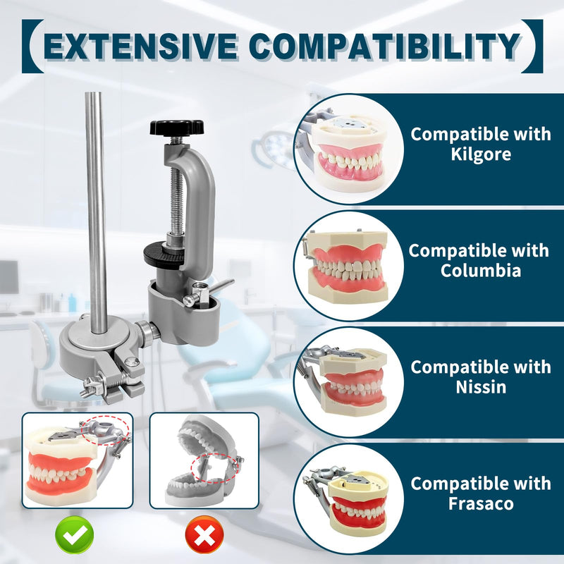 Typodont Training Mount，360° Motion Teeth Model Training Stand Fixed on Desk,Dental Schools Education Practical(Typodont Model is NOT Included)