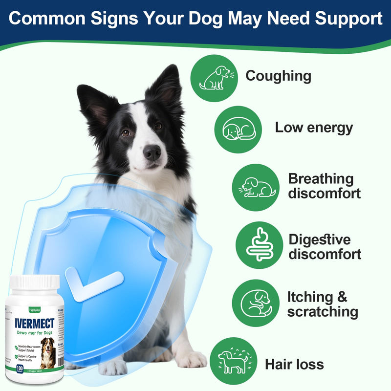 lvermect Tablets for Dog, Supports Canine Heart Wellness, Promotes Circulatory Cardiovascular System, Broad Spectrum Digestive Immune Support, Monthly Wellness Formula, Easy-to-Use Tablets 100 Count