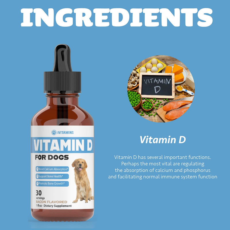 Vitamin D for Dogs | Vitamin D Supplements for Dogs | Vitamin D Dog | Dog Vitamins | Dog Vitamins and Supplements | Dog Vitamins Multivitamin | Vitamins for Dogs | 1 fl oz: 30 Servings | Bacon Flavor - PawsPlanet Australia