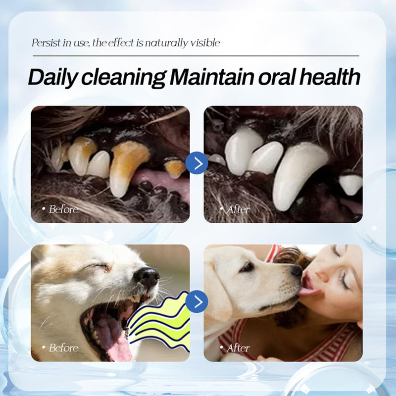 Dog Dental Care Spray丨Dogs Teeth Oral Care Cleaning Spray丨Pet Breath Freshener for Pet Cats and Dogs - Support Clean Teeth, Freshen Breath, Reduce Bad Breath and Aid in Daily Oral Use - 100ml
