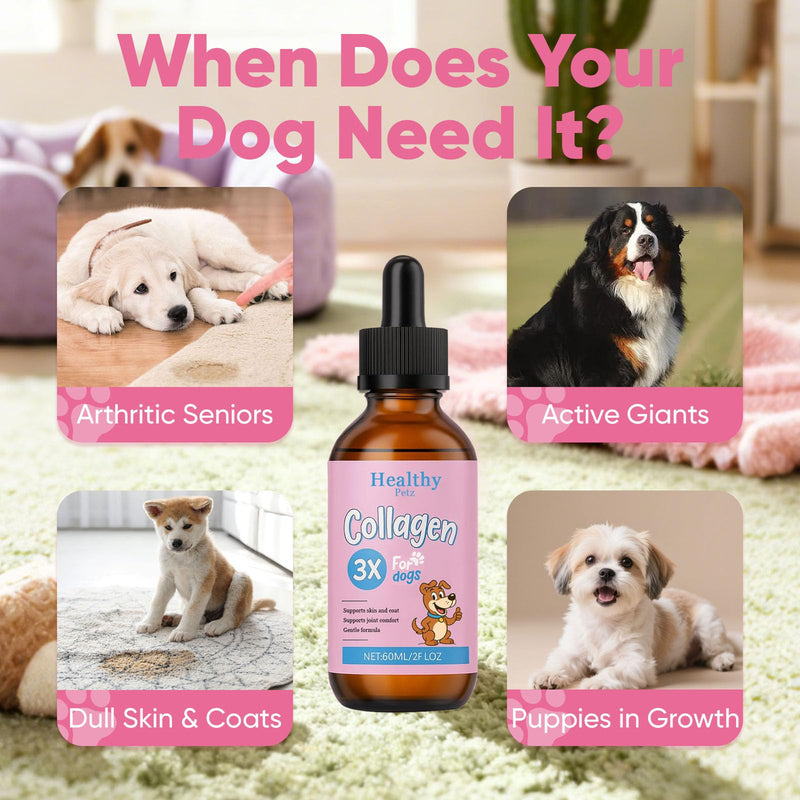 Healthy Petz Premium Liquid Collagen, HealthyPetz Liquid Collagen for Dogs, Supports Joint Relief & Healthy Skin Coat, Gut Health, Premium Collagens Supplement, 2 fl.oz