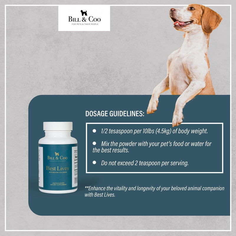 BILL & COO Best Lives Fiber Supplement with Bovine Collagen Peptides & Beetroot Powder for Dogs - Promotes Digestive, Heart and Liver Support - Dog Joints Supplement Formula - 90g