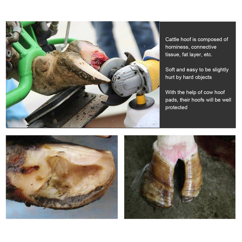 Cow Trimming Pad, 2Pcs Wearproof Soft Hoof Pad Reduces Hoof Sole Abrasions Rubber Hoof Pad for Pasture and Cow, 4.3x2.1x0.8in Hoof Triming Pad - PawsPlanet Australia