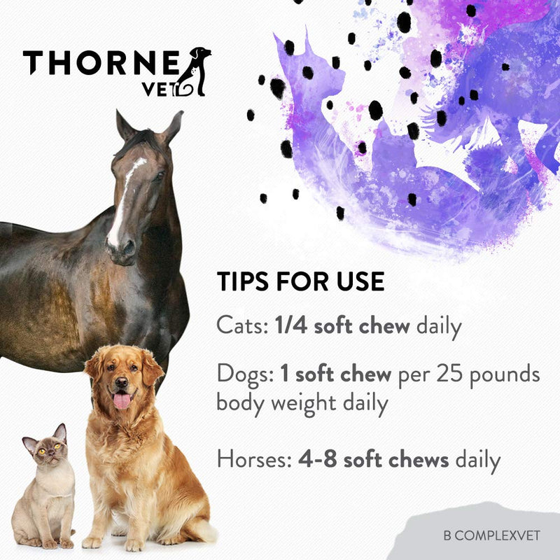 ThorneVet B ComplexVet and Canine Basic Nutrients Soft Chews Bundle