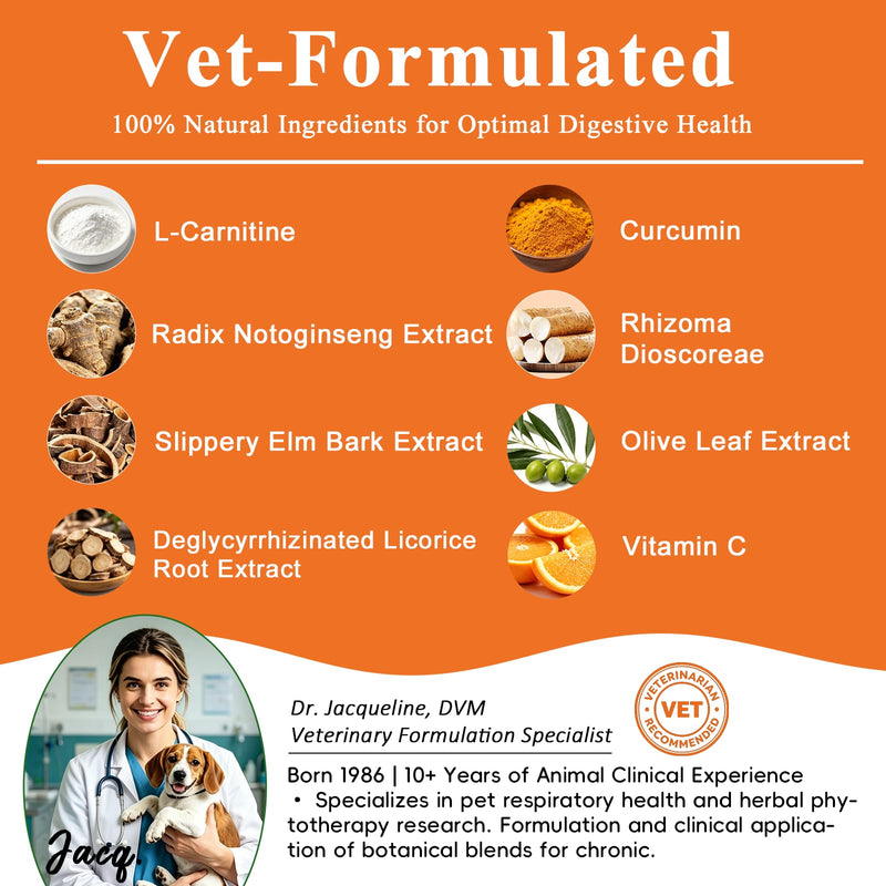 Lipoma Treatment for Dogs, L-Carnitine Reduces Fatty Lumps and Bumps, Vet-Formulated Natural Pet Supplement Boost Energy & Vitality, Immune and Blood Support, Promotes Overall Wellness, 60g