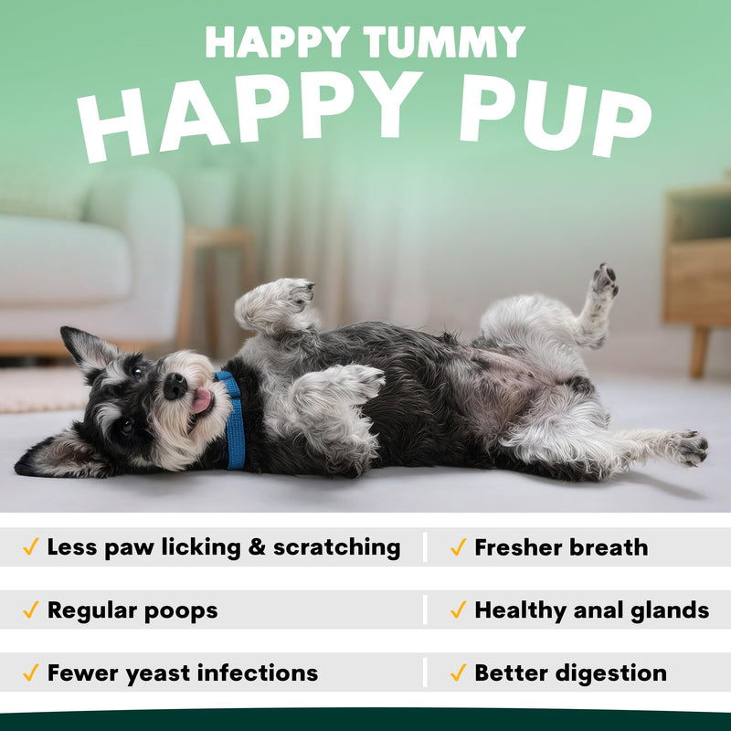 Cat Probiotic and Dog Probiotic Bundle