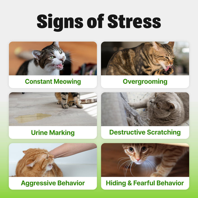 Cat Calming Supplement – Lickable for Stress & Anxiety Relief, Helps Promote Relaxation with L-Theanine, Tryptophan & Valerian Root – for Separation Anxiety & Travel, Tuna Flavor, 30 Tubes