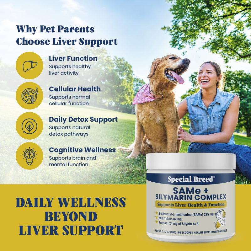 Liver Support for Dogs – Same + Milk Thistle Supplement Powder – Supports Liver Function, Detox & Cellular Health – Silymarin with 24 mg Silybin A+B – 60 Servings