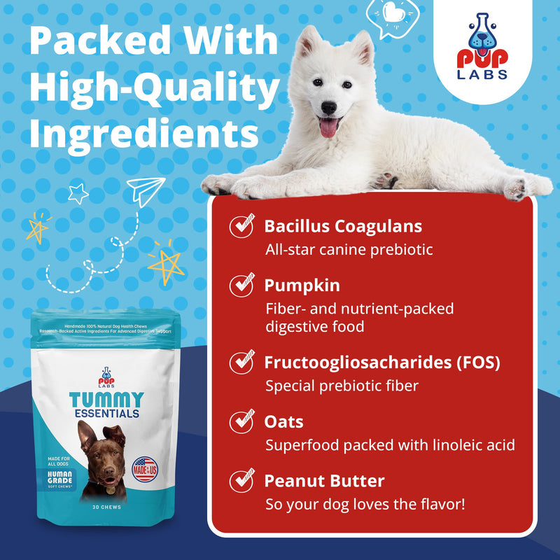 Tummy Essentials Probiotics for Dogs - Eliminate Digestive Dysfunction - Supports Gut Health - Dog Probiotics Support a Happy and Active Life - Made for All Dogs and in The USA, 30 Chews Bag - PawsPlanet Australia