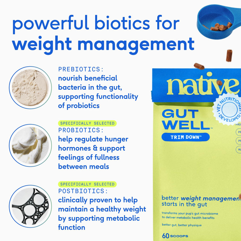 Native Pet Slim & Wellness Trio: 60 Scoops GutWell Trim Down Dog Weight Loss Supplement, 30 Scoops 11-in-1 Vitamins & Supplements & 8 Oz Omega 3 Fish Oil for Dogs & Cats