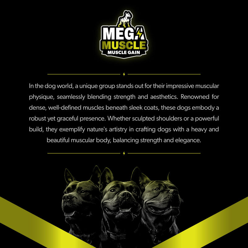 Mega Muscle - 60 Tablets Muscle Gain | Daily Booster Chewable Tablets Multivitamin for Dogs in All Life Stages | High Protein, Weight Gain Puppy & Adult Dog Supplement | Chicken Flavor