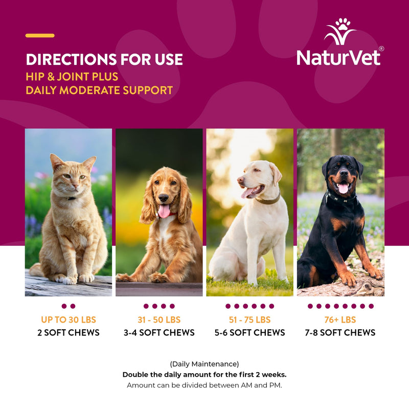 NaturVet Hip & Joint Plus Soft Chew (Bag) 120 ct