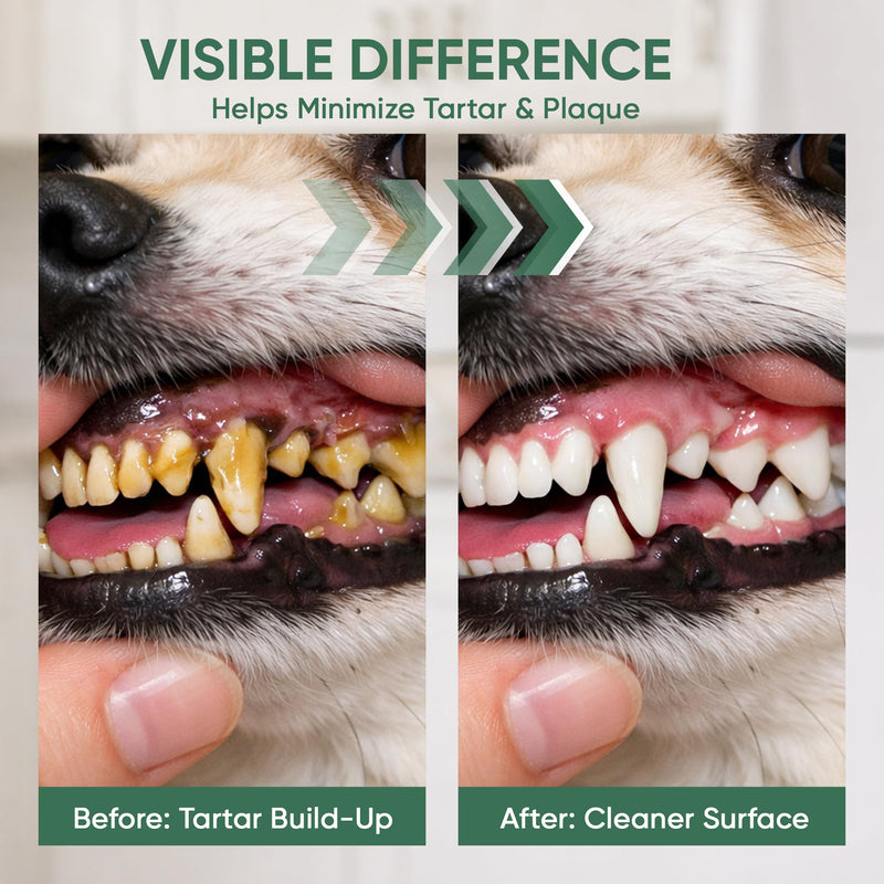 Milolabco Advanced Dental Spray, Natural Source of Minerals that Helps Minimize Tartar Buildup, Freshens Breath, for Healthy Balance of Oral, Milolabco Dog Dental Spray, Supports Oralhygiene, 100ml 1