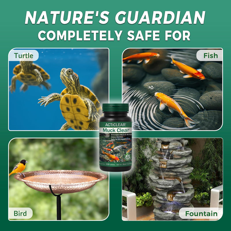 Muck Clear – Natural Pond Sludge Treatment, 500 Tablets for Ponds, Fountains & Bird Baths, Beneficial Bacteria & Enzymes, Chemical-Free & Safe for Fish, Pets & Wildlife 1LB