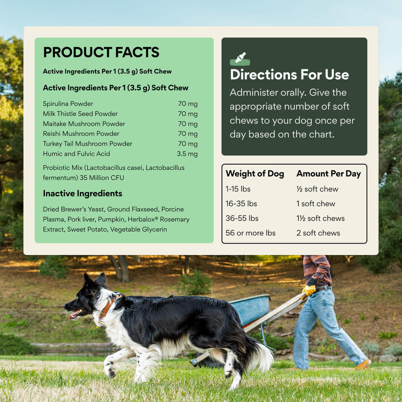 Chuck Norris Lone Wolf Ranch Power GI Probiotic Gut Health Support Supplement Soft Chew for Dogs (30 Count)