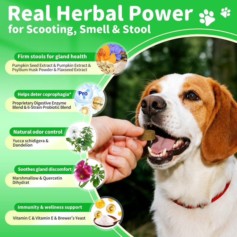 Dog Probiotics & Digestive Enzymes – Pumpkin Fiber Chews for Gut Health, Constipation& Upset Stomach Relief, Gas & Stool Support, Chicken Flavor Soft Chews – 90 Count 90 Count (Pack of 1)