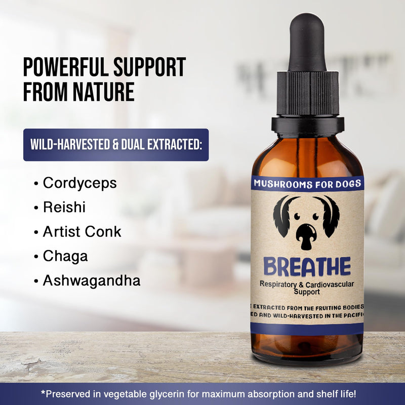 MycoDog Breathe Mushroom Extract & Adaptogen Tincture for Canines - Mushroom & Ashwagandha Supplements for Dogs with Breathing Challenges - Reishi Mushroom, Chaga, Cordyceps Mushroom & Artist Conk - PawsPlanet Australia