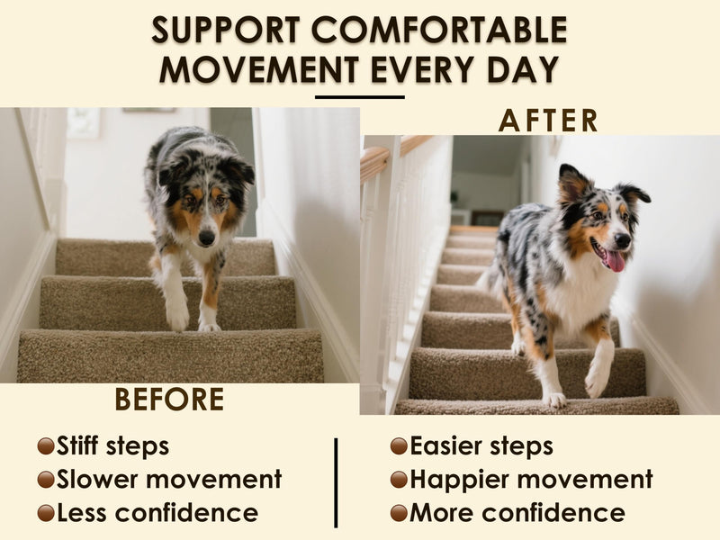 Hip and Joint Soft Chews for Dogs – 90 Count – Glucosamine, MSM, Chondroitin, Omega-3, Green-Lipped Mussel – Promotes Mobility, Comfort, and Joint Health – Chicken & Bacon Flavor
