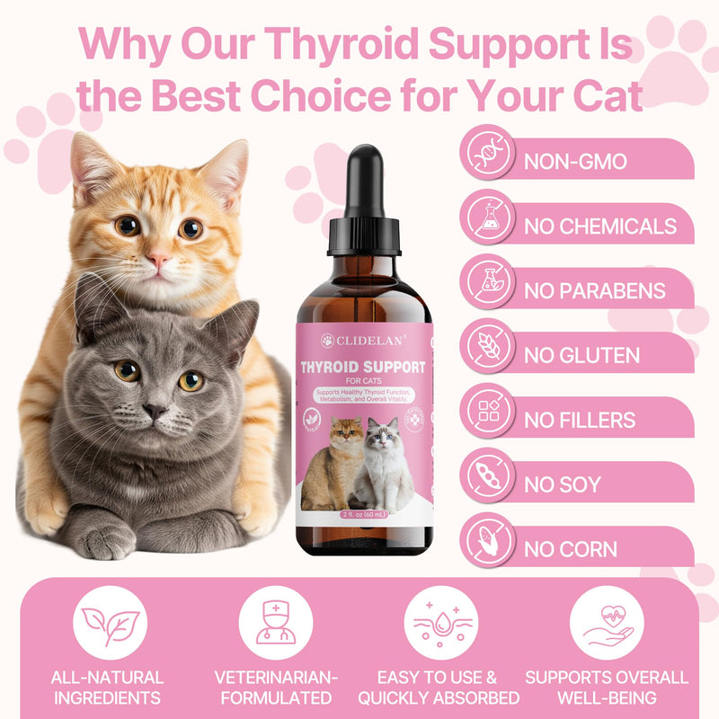 Herbal Thyroid Support – Promotes Healthy Metabolism & Energy, with Rehmannia Root Extract & Lemon Balm – Natural Liquid Supplement for Appetite & Weight Maintenance