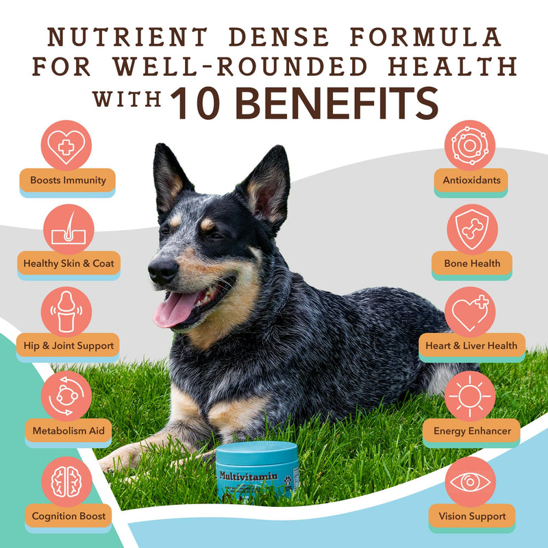 Natural Dog Company Urinary and Multivitamin Bundle - Supports Urinary Tract, Immune System, Joint Health, and Energy - Essential Chews for Dogs' Overall Well-Being and Vitality
