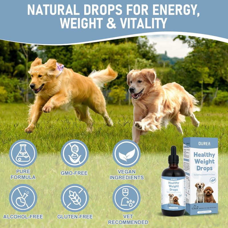 Weight Management Drops for Dogs, Effective Dog Weight Loss Drops, Healthy Weights Nutritional Supplement, Energy Metabolism Support, Weights Loss Pet Food, Natural Solution Hunger Control Supplements