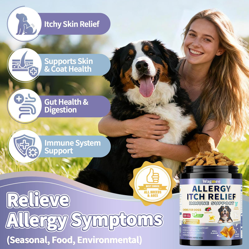 Dog Allergy Relief – 500 Ct Anti-Itch Chews + Natural Allergy Drops for Dogs, Yeast & Itchy Skin Relief, Paw Licking & Ear Support, Skin Coat Immune & Gut Health Supplement