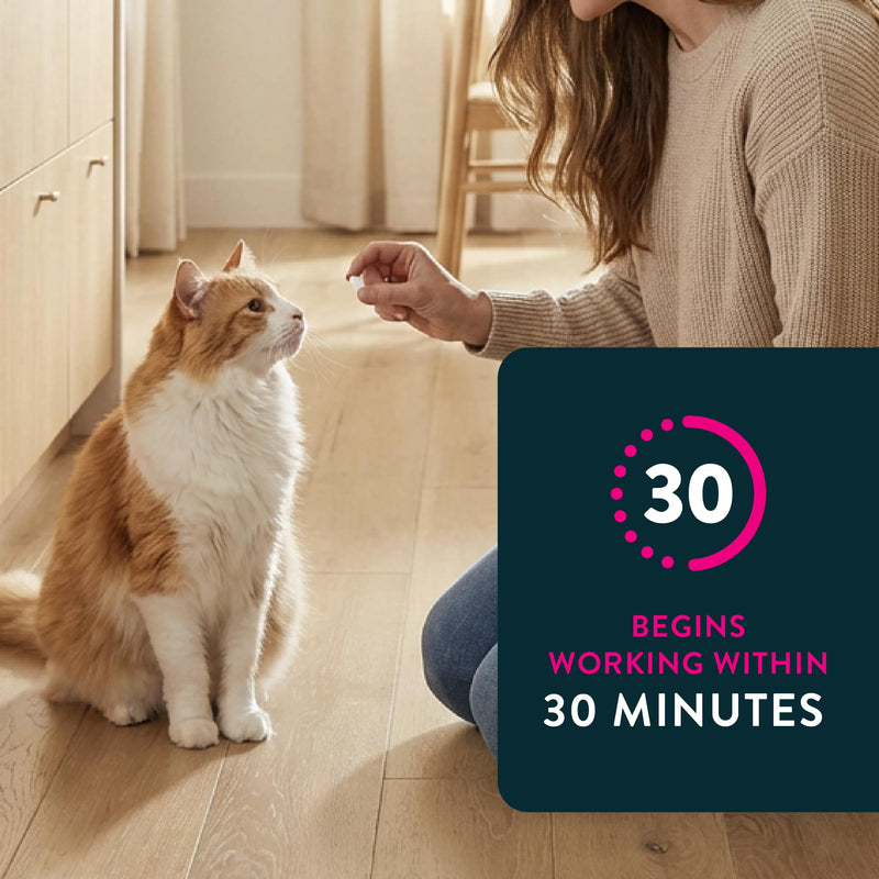 Capstar (nitenpyram) Cat Flea Treatment, Fast-Acting Oral Flea Treatment for Cats 2-25 lbs, Vet-Recommended Medication Tablets Start Killing in 30 Minutes, 6 Doses 6 Count