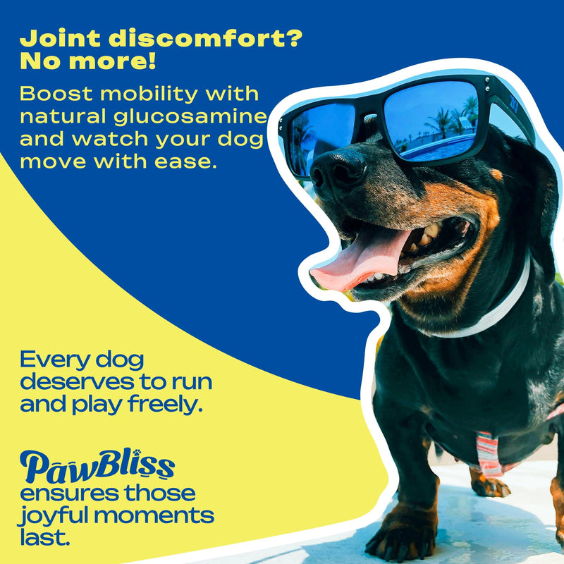Glucosamine Joint Supplement for Dogs Joint Pain Relief – Glucosamine Chondroitin MSM & Turmeric Hip & Joint Support Chews for Large & Senior Dogs – 120 Ct Glucosamine chew