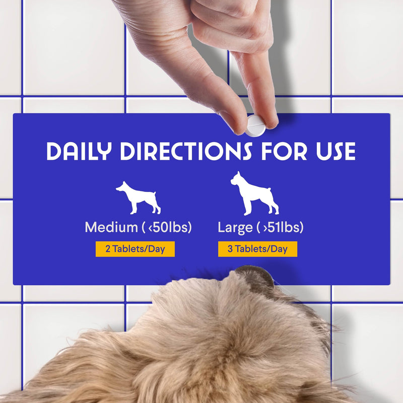 B12 Supplement for Dogs – Vitamin B-12 for Dogs of All Ages, Sizes & Breeds – Vitamin B12 for Dogs as Superior Methylcobalamin, Cobalamin & Folate (5-MTHF) – 90 Beef Flavored Chewables - PawsPlanet Australia
