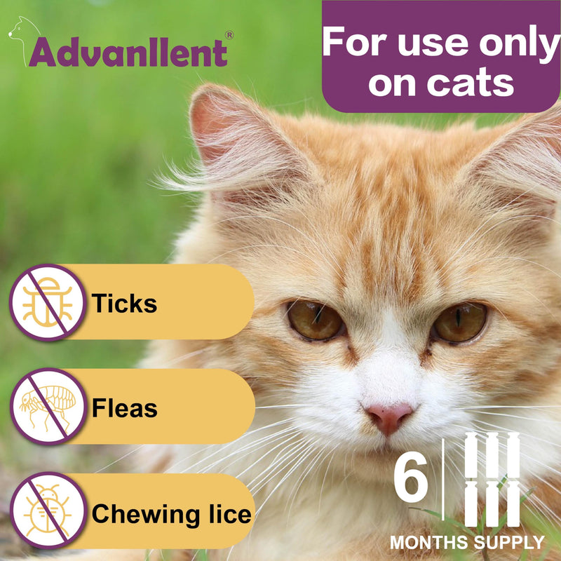 Flea and Tick Prevention for Cats, Flea and Tick Treatment for Cat Kitten, Flea & Tick Control, Over 1.5 Pounds, 6 Doses cat-6 Doses