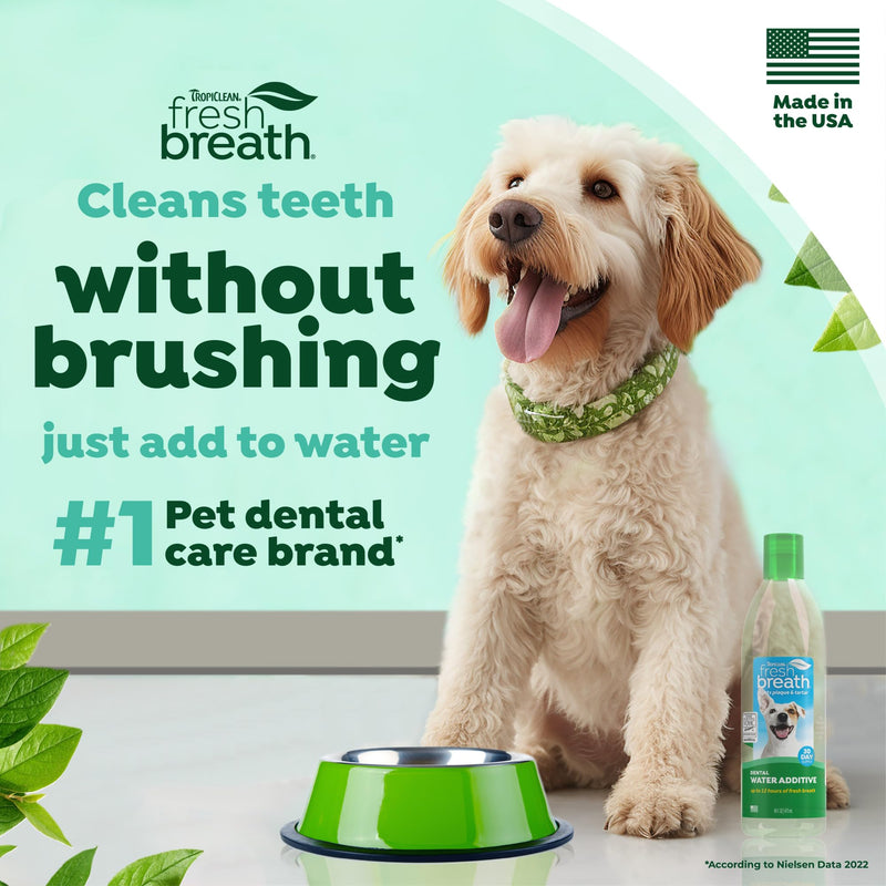 TropiClean Fresh Breath Water Additive for Dogs | Dog Breath Freshener & Teeth Cleaning Solution | No Toothpaste or Toothbrush Required | 8 oz Dog Water Additive 8 Ounce (Pack of 1)