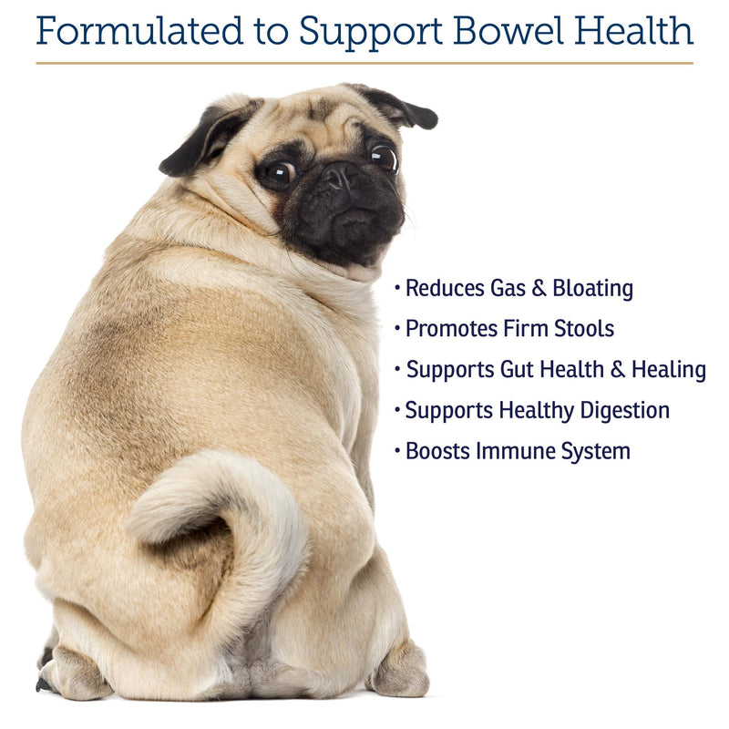 Rx Vitamins NutriGest Capsules for Cats & Dogs - Probiotics for Digestive Health Enhanced with Glucosamine for Gut Health Support - Helps with Constipation Relief and Anti Diarrhea - 90 Capsules New Label