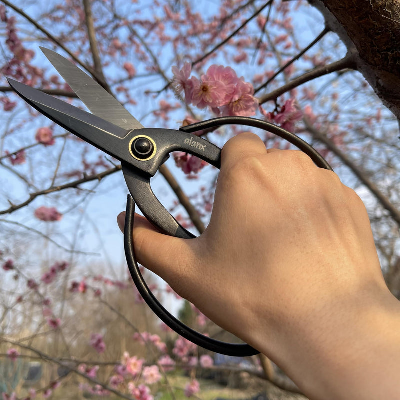 8 Inch Full-Steel Forged Precision Long Ohkubo Garden Shears – Ultra-Sharp Bypass Pruner for Delicate Shoots & Leaves