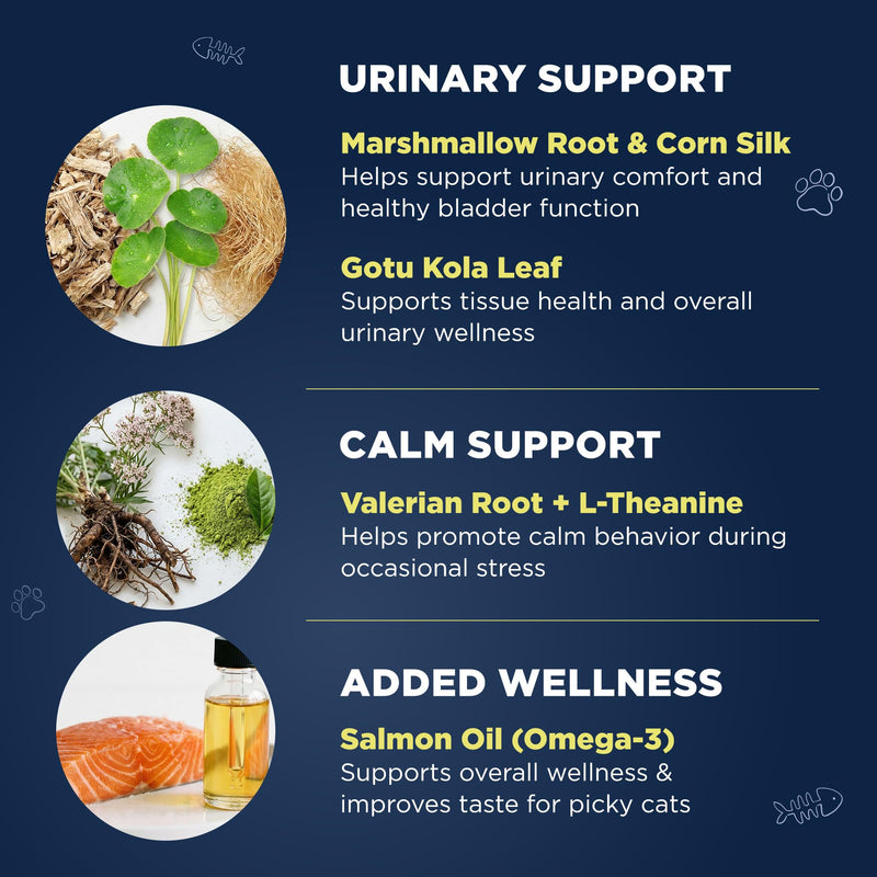 Handy Hound CalmStream Cat Urinary + Calm Support Drops, Liquid Bladder & Urinary Tract Support for Cats, Alcohol-Free, with L-Theanine and Salmon Oil, 2 fl oz (60 mL)