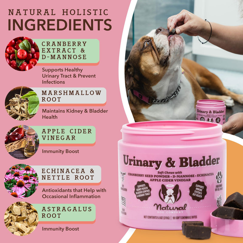 Natural Dog Company Urinary and Multivitamin Bundle - Supports Urinary Tract, Immune System, Joint Health, and Energy - Essential Chews for Dogs' Overall Well-Being and Vitality