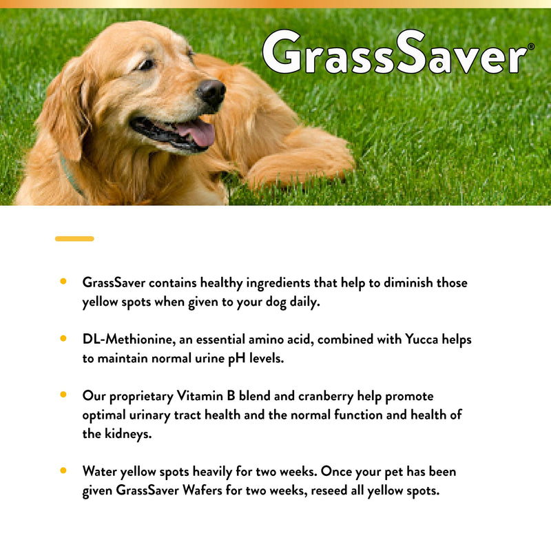 NaturVet – GrassSaver Wafers for Dogs Plus Enzymes – 300 Wafers – Healthy Supplement to Help Rid Your Lawn of Yellow Spots – Synergistic Combination of B-Complex Vitamins & Amino Acids - PawsPlanet Australia