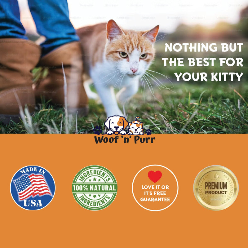 Natural Allergy Relief for Cats - Supports Allergy & Itch Relief for Cats - Cat Allergy - Cat Itch Relief - Cat Itchy Skin Relief - Cat Allergy Relief for Cats - Cat Supplements & Vitamins - 1 fl oz - PawsPlanet Australia