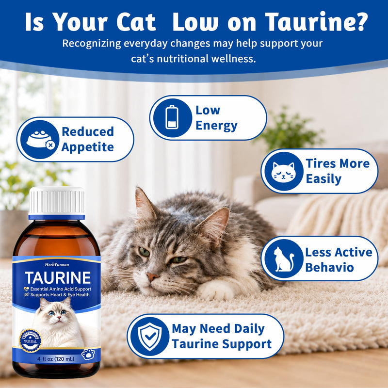 Taurine for Cats Drop 4 oz, Cats Taurine Supplement 200mg High Potency for Heart & Eye Health, Amino Acid Support for Vision & Immune System with 1ml Precision Syringe